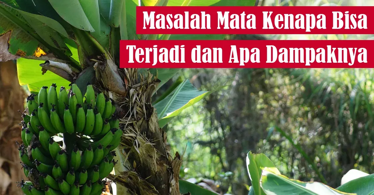 mata, kesehatan