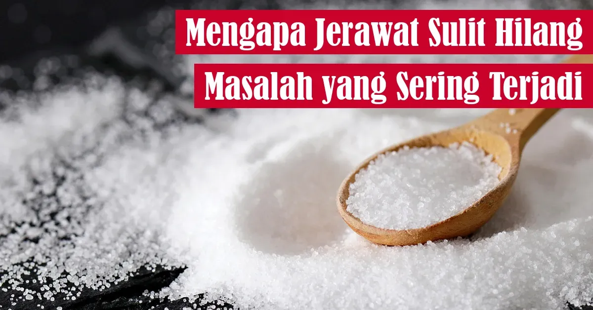 garam laut, jerawat alami