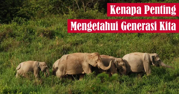 generasi, kuis
