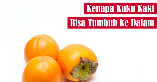 kaki, perawatankaki