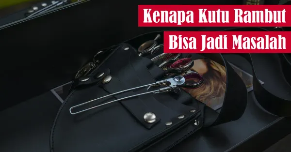 rambut, kesehatan kulit kepala