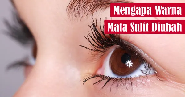 mata, kecantikan