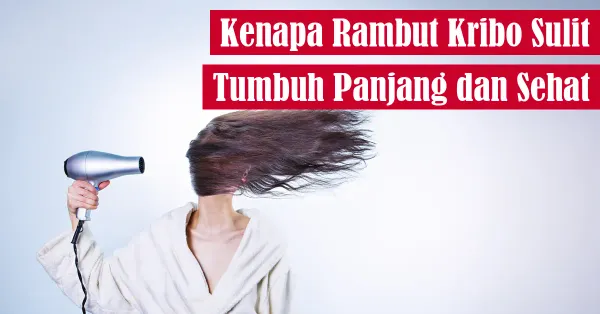 rambut, perawatan rambut