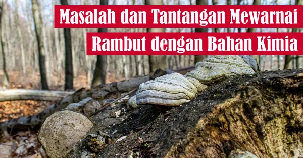 rambut, pewarnaan alami