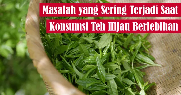 teh hijau, kesehatan