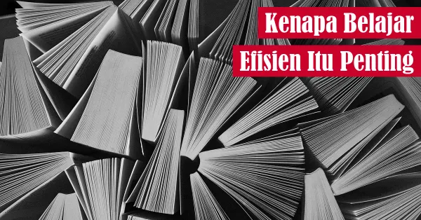 belajar, pendidikan
