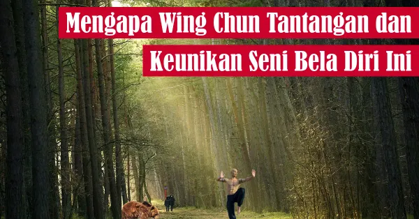 martial arts, kung fu
